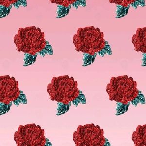 Meet your Posher, Alondra